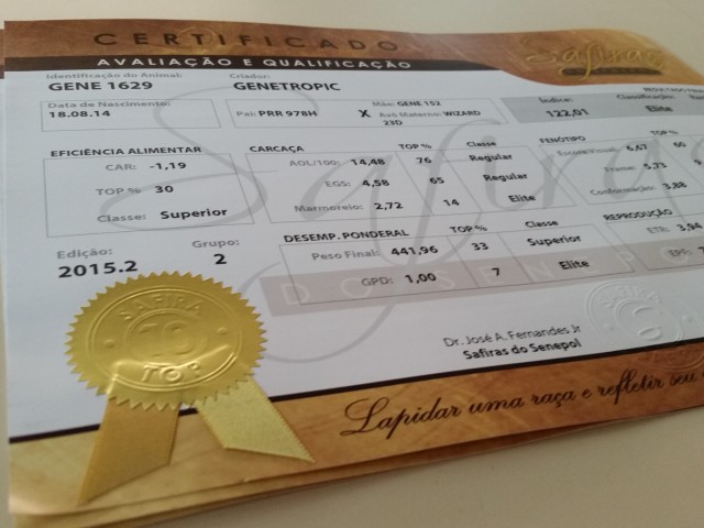 05_2 Certificado Safiras