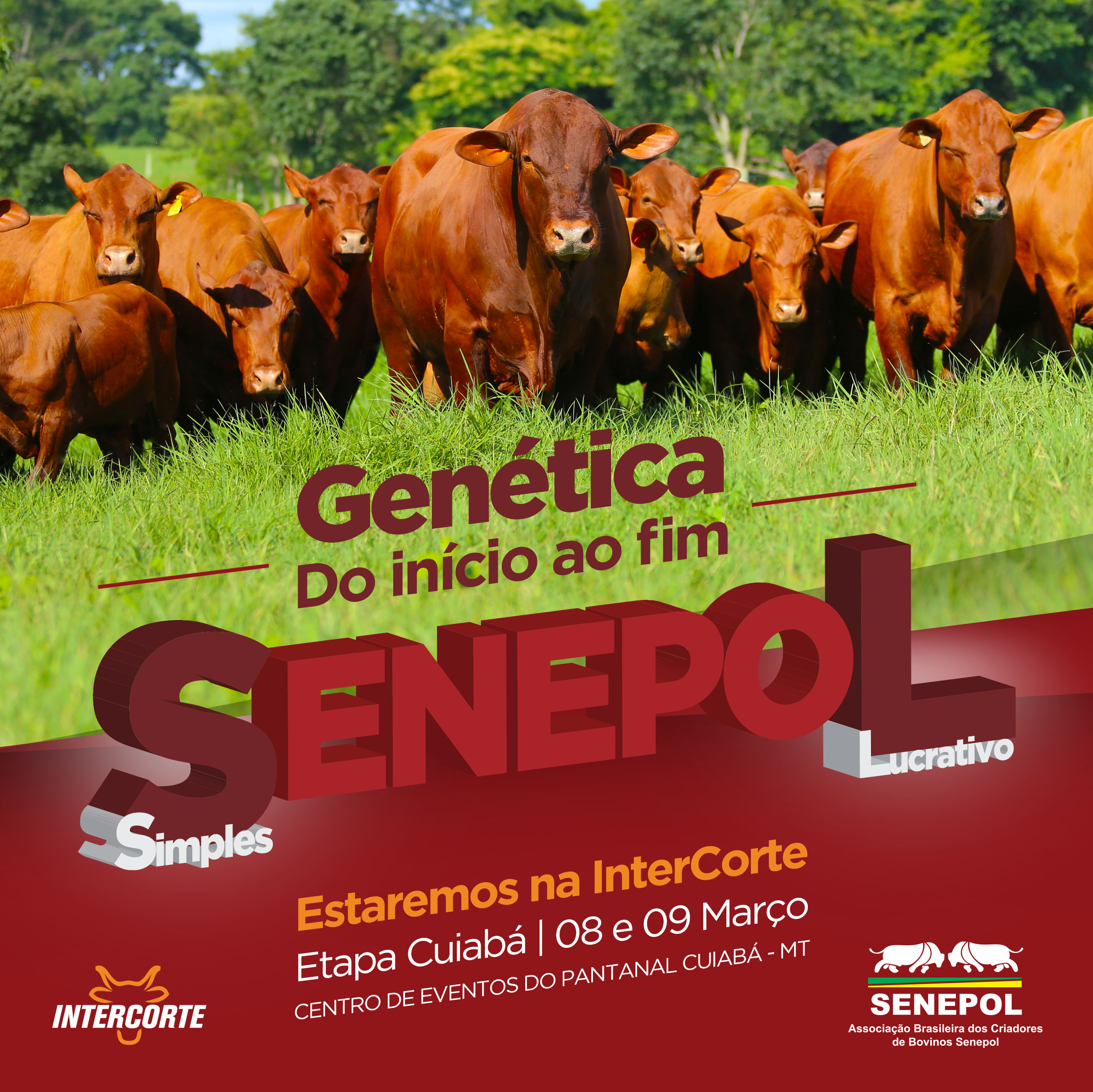 ABCBSenepol_InterCorte_Cuiabá