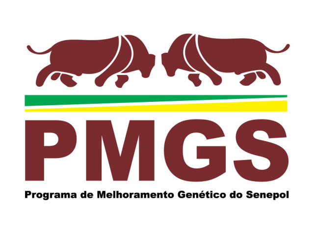 Logotipo PMGS
