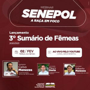 lançamento sumário de fêmeas
