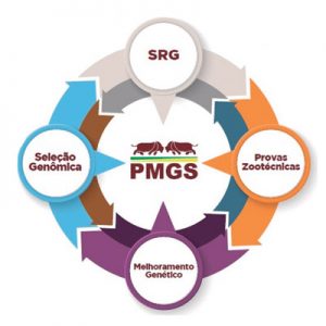 PMGS