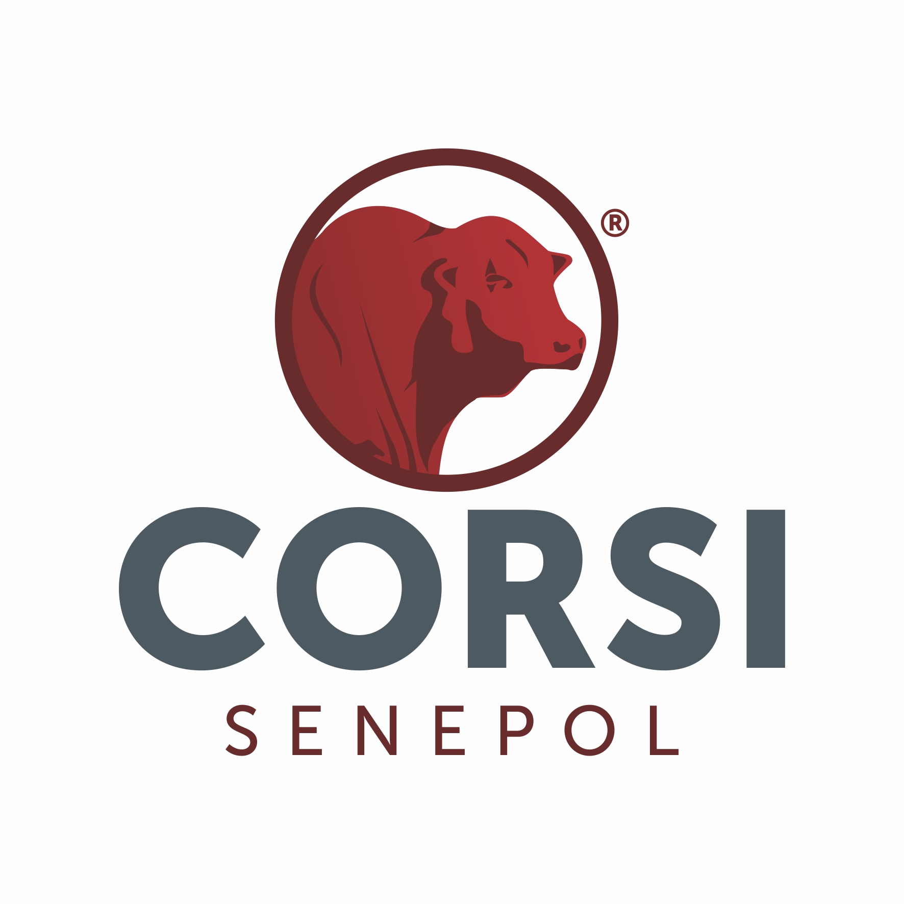 Picture of Corsi Senepol