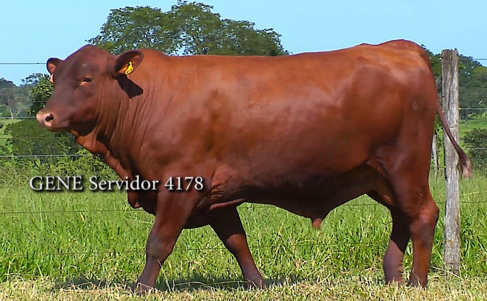4178